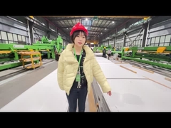 AISI walste 6mm het Staalplaat van het Bladenroestvrije staal 440c voor Scalpelschaar koud